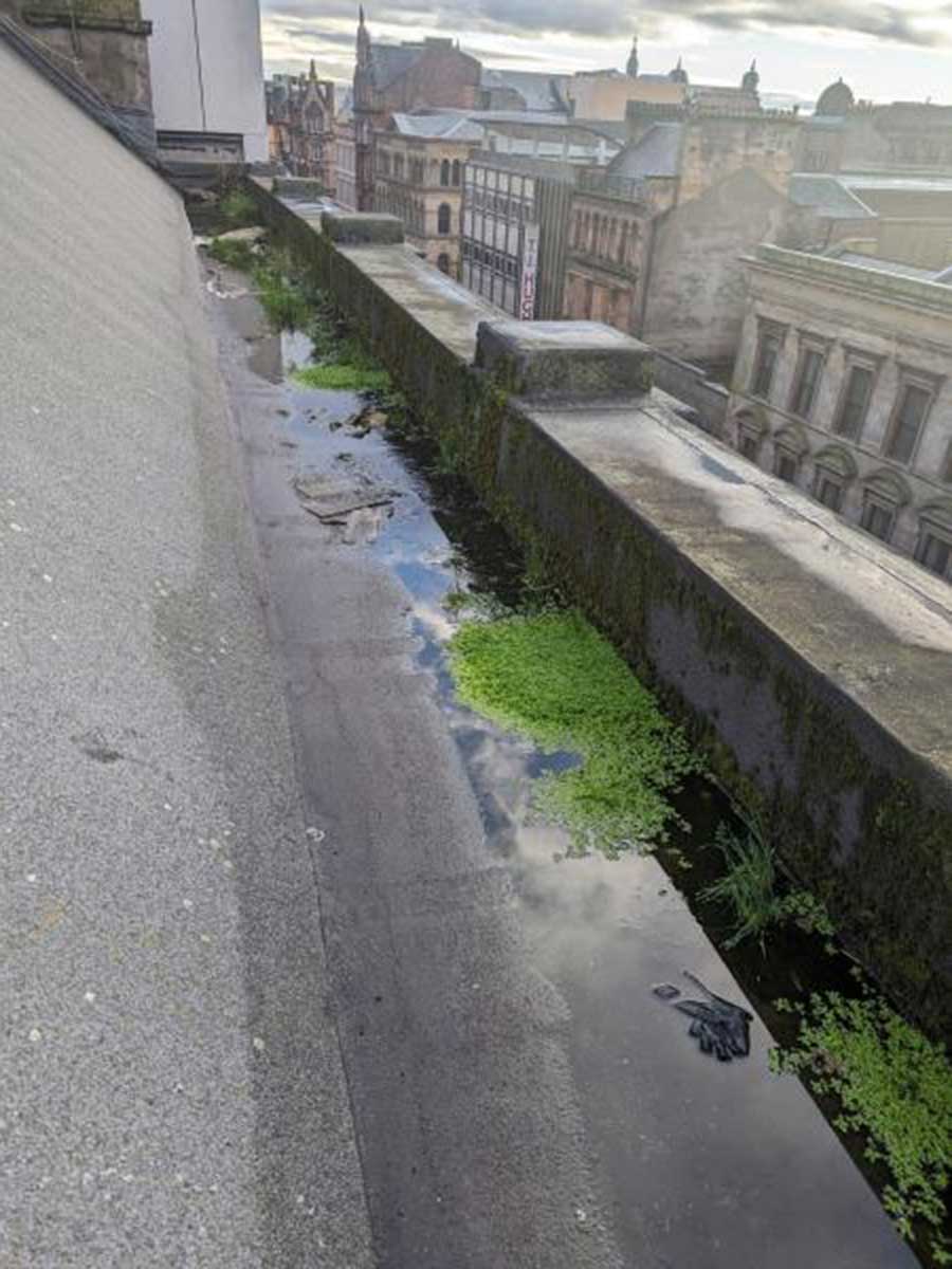 Gutter Cleaning Services