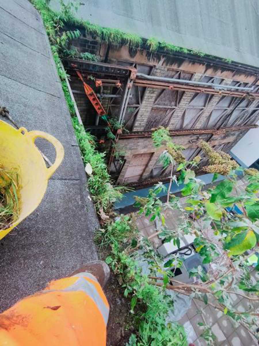 Gutter Cleaning Services