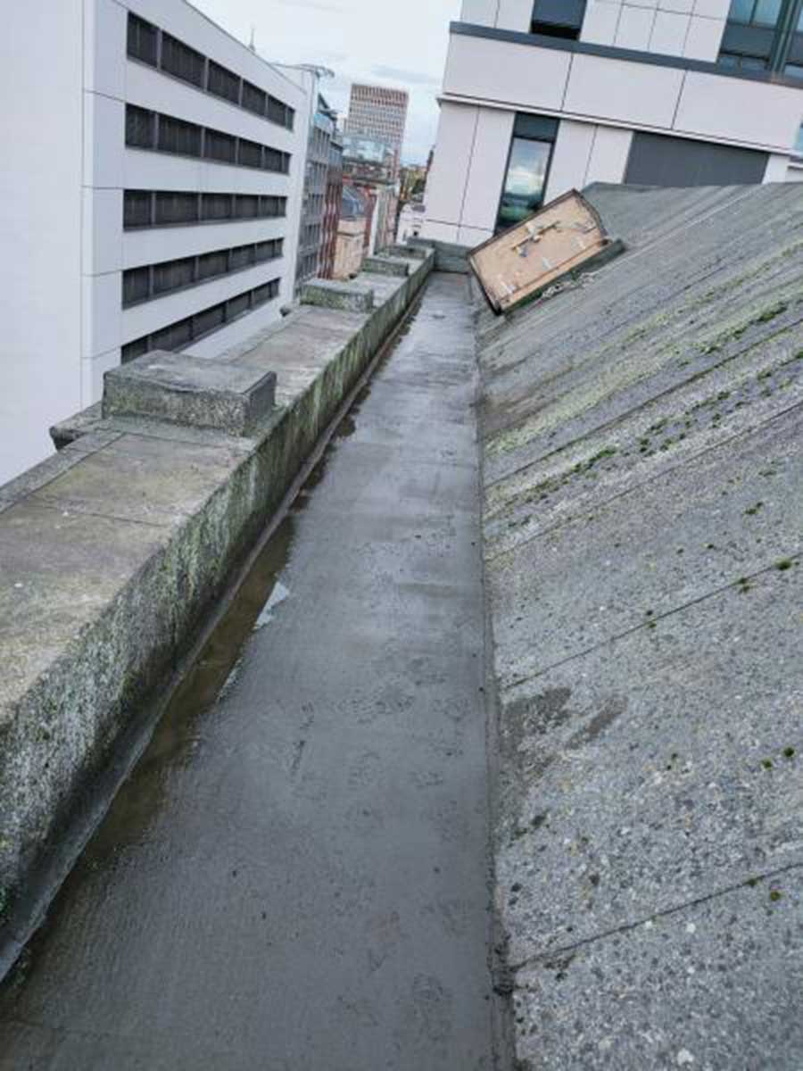 Gutter Cleaning Services