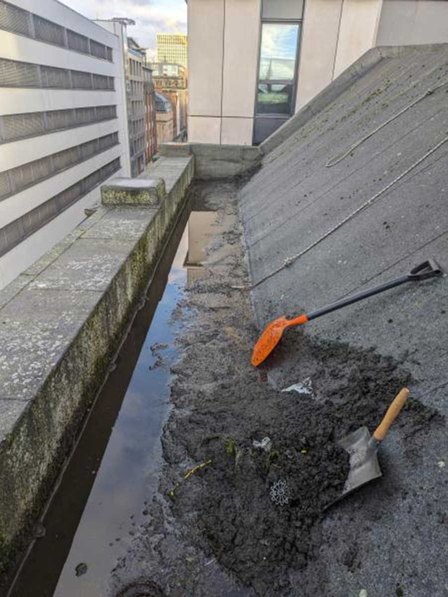 Gutter Cleaning Services