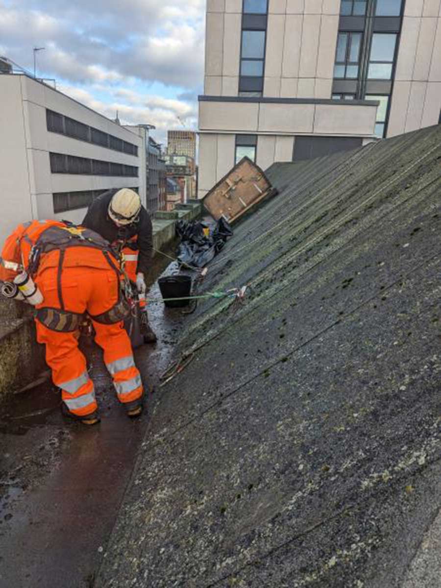 Gutter Cleaning Services