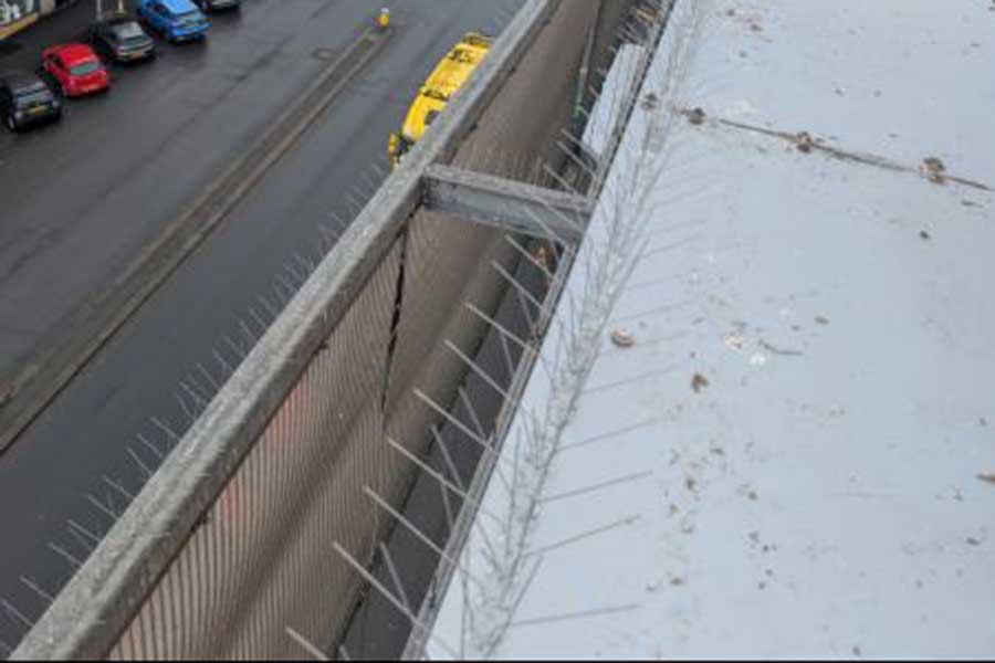 Bird Netting & Proofing
