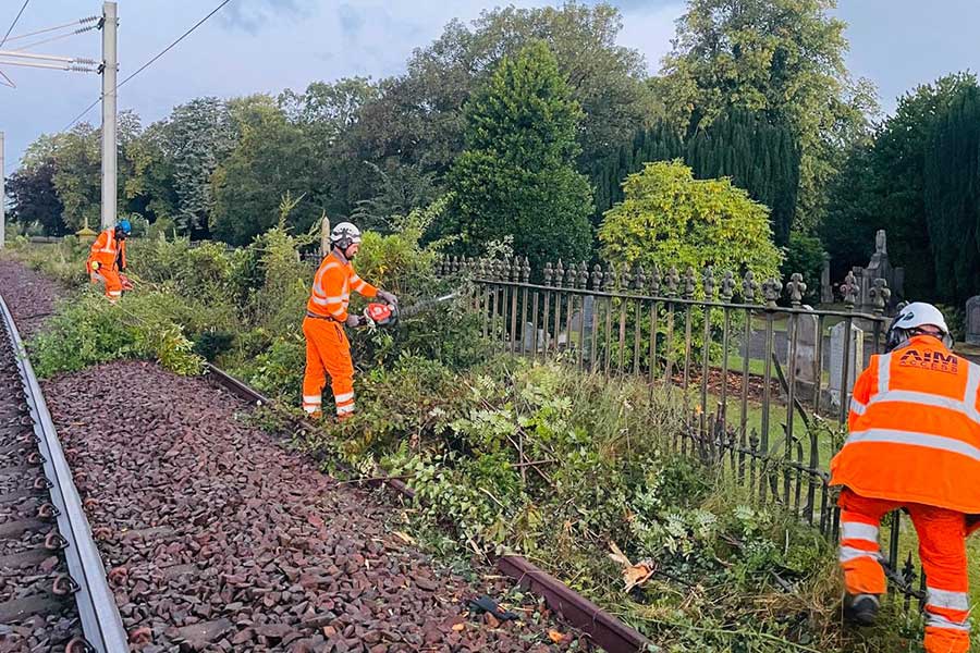 Devegetation & Tree Removal