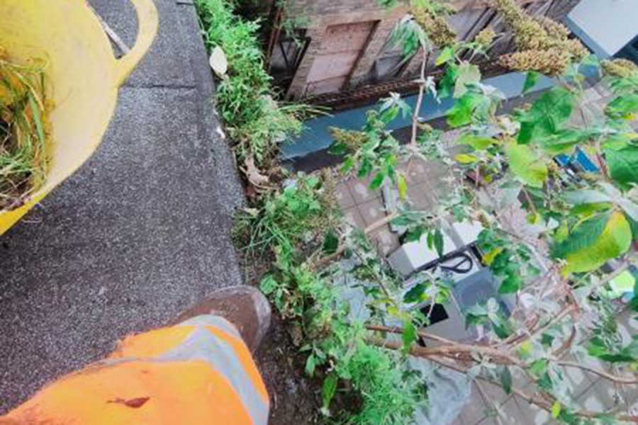 Gutter Cleaning Services
