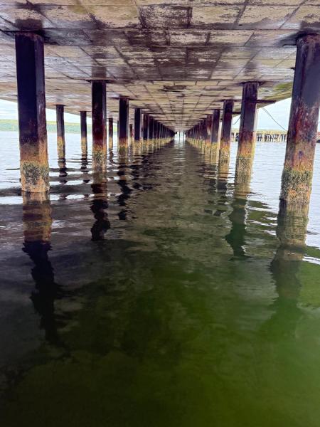 Fairley Quay – Rope Access Concrete Repairs Main Photo