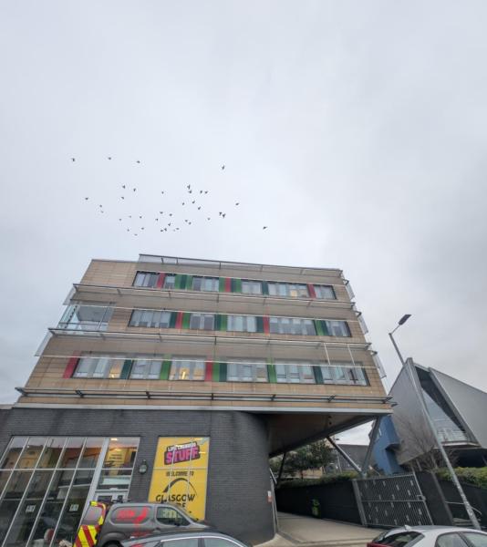 Langside College – Bird Spike Installation Gallery Main Photo
